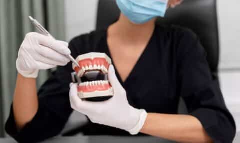 Dentures - our doctor is testing the service